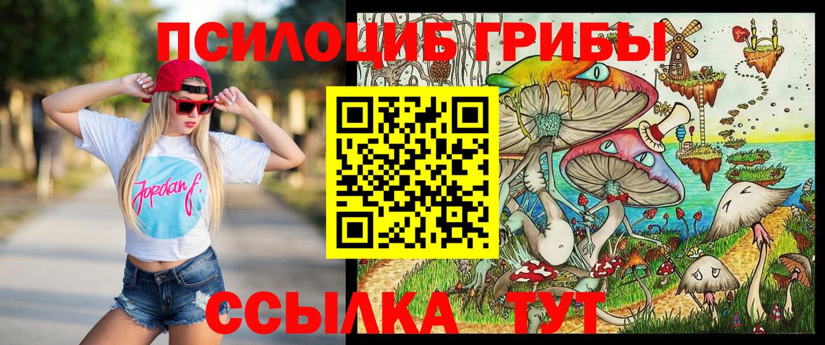 Краснотурьинск  Галлюциногенные грибы MAGIC MUSHROOMS  Вход с VPN 